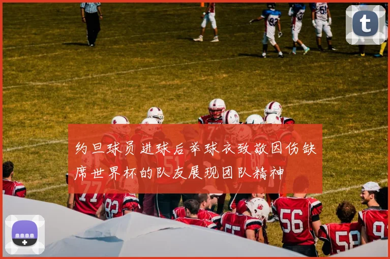约旦球员进球后举球衣致敬因伤缺席世界杯的队友展现团队精神